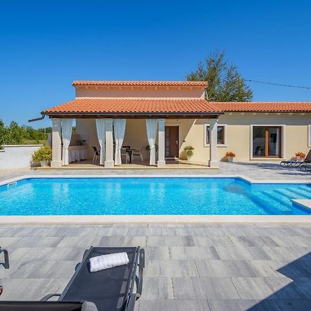 Villa Desapemani Zminj ภายนอก รูปภาพ